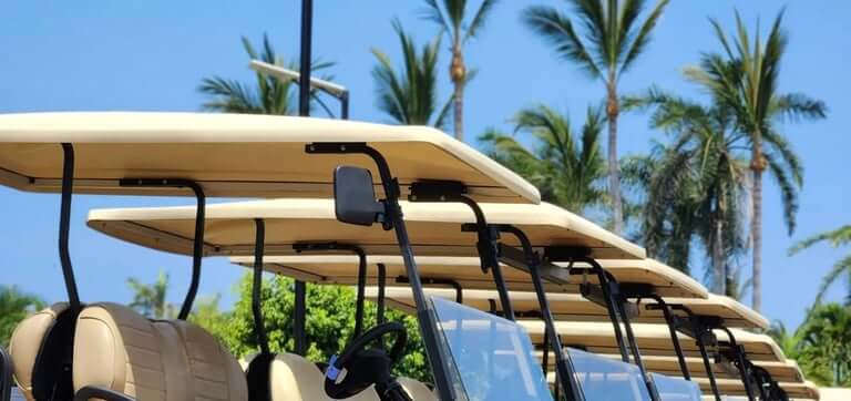Row of black EZCARTS golf carts